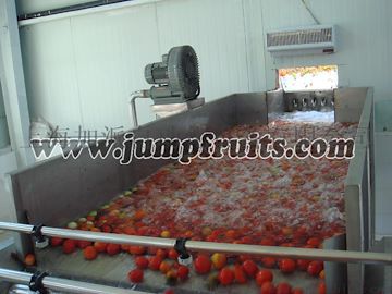 日处理1-50吨番茄生产线设备