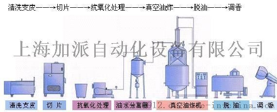 真空油炸全自动果蔬脆片生产线